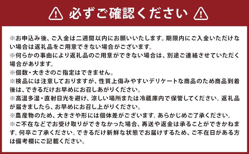 トマトS〜M玉入り約4kg