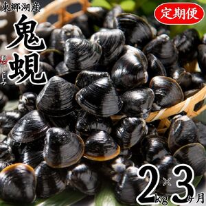 選べる 内容量 定期便 大粒 冷凍 しじみ 鬼蜆 特大 2kg 3ヶ月 | おにしじみ 東郷湖 特大 大きい 砂抜き 不要 加熱用 直送 新鮮 味噌汁 みそ汁 パスタ ボンゴレ 肝臓 二日酔い オルニチン ダイヤ 鳥取県 湯梨浜町 名産 特産品 人気 おすすめ 送料無料 59M