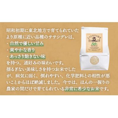 ふるさと納税 石巻市 ササシグレ 白米 9kg ササニシキ 白米 9kg 食べ比べ ささしぐれ ささにしき お米 コメ |  | 02