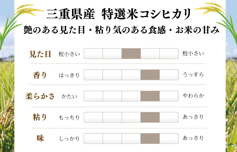 (有)松幸農産 特選米 20kg セット コシヒカリ お米 おこめ 玄米 精米歩合 指定可 三重県産 送料無料 5kg×4袋 小分け 冷めてもおいしい ふるさと納税 ふるさと 米 コメ こめ ギフト 