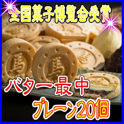 ふるさと納税 相馬市 バター最中 20個入×1箱