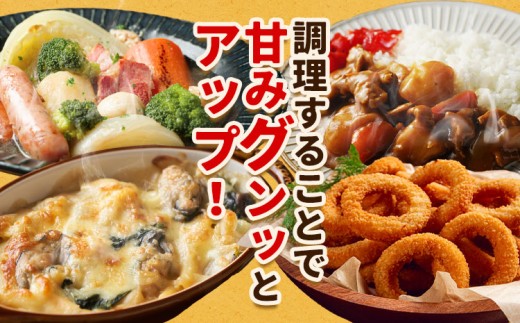 北海道名寄産 玉ねぎ 10kg 秀品 Mサイズ《2026年10月上旬-12月上旬出荷予定》北海道 名寄市 野菜 玉ねぎ 旬 カレー グラタン オニオンリング