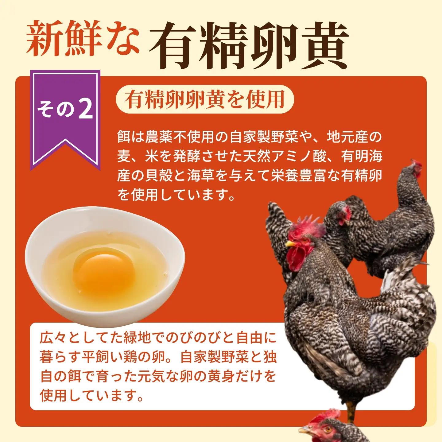 【レターパックライト配送】珍しいひげにんにくと有精卵で作ったにんにく卵黄 5袋セット：B260-012