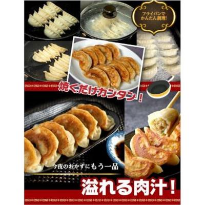 ふるさと納税 横浜市 横浜大宝餃子 もちもち肉汁 ジャンボ餃子 60個(30×2) |  | 03