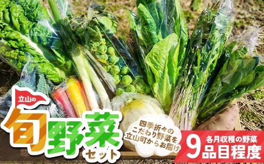 立山の旬野菜セット 新鮮 野菜 サラダ 小分け セット 農薬不使用 冷蔵 国産 食品 F6T-956