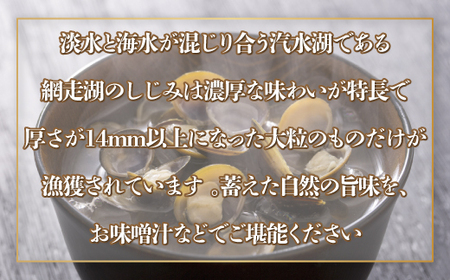 網走湖産 天然大粒 大和しじみ 1.2kg ※着日指定不可 【 ふるさと納税 人気 おすすめ ランキング しじみ シジミ 蜆 大和しじみ 貝 魚貝類 網走湖産 砂抜き済 冷凍 味噌汁 大粒 天然 北海