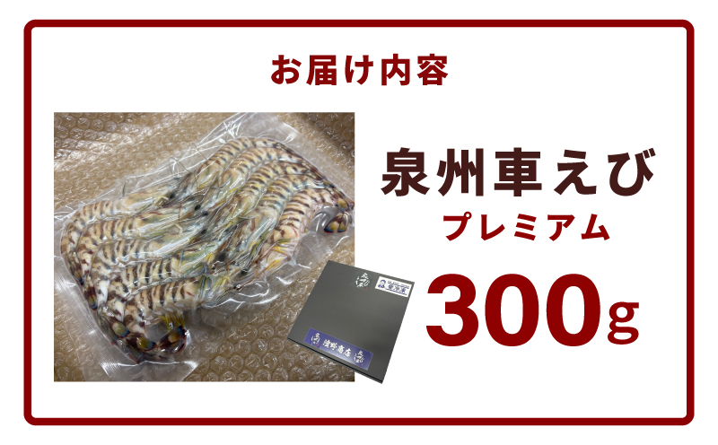 【TVで紹介！】泉州車えび 300g【生食可 海鮮 車海老 車エビ 海老 えび エビ 刺身 産地直送 急速冷凍 鮮度抜群】 G2179