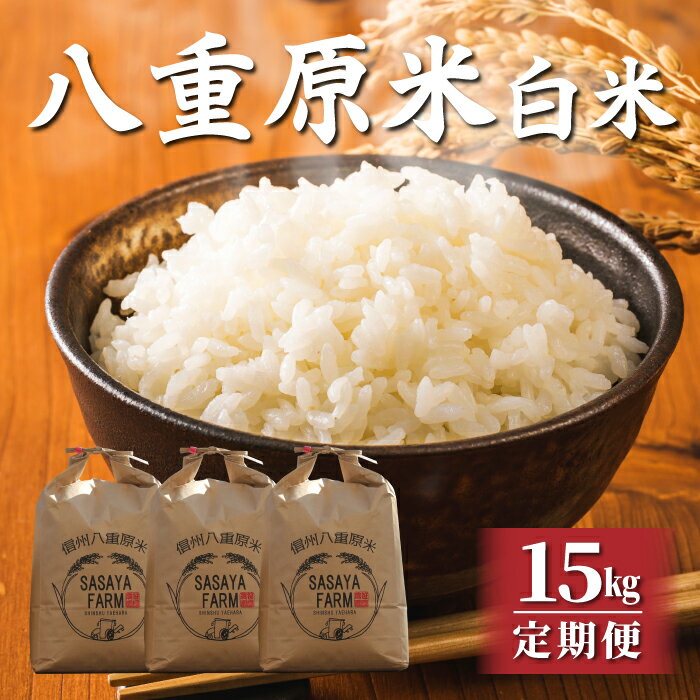 【ふるさと納税】令和7年新米予約【定期便】八重原米15kg（5kg×3袋）白米　※2025年10月以降順次発送｜笹屋農園