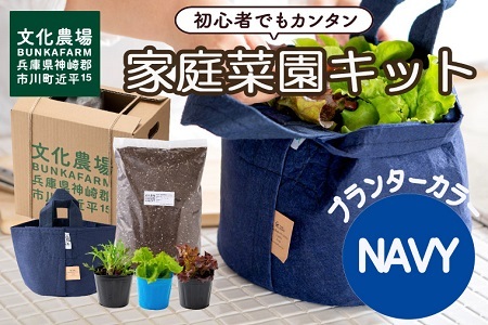 はじめての家庭菜園キット「サラダガーデン」（プランター色：ネイビー）011BK03N.／レタス 苗 サラダ野菜 苗 プランター ガーデニング 野菜 栽培 ベランダ菜園 野菜苗 培土 園芸