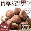 【ふるさと納税】菌床 生しいたけ 900g 大きい 肉厚 シイタケ 椎茸 生椎茸 生シイタケ 千歳 北海道 《 あしだファーム 》椎茸 しいたけ シイタケ きのこ キノコ 茸 野菜 北海道ふるさと納税 ふるさと納税 北海道 千歳市 【北海道千歳市】ギフト ふるさと納税