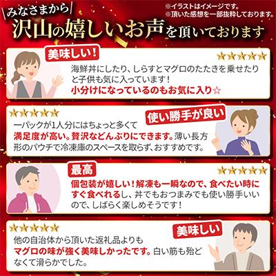 ふるさと納税 小樽市 まぐろたたき 100g×16P 合計1.6kg【北海道小樽加工】ネギトロ 小分けで便利 |  | 01