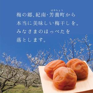 【A級品】紀州南高梅 田舎梅 500g 塩分10％ / 梅干し 梅干 うめぼし 南高梅 国産 梅 うめ ウメ 完熟 健康 ご飯のお供 昔ながら 贈り物 ギフト プレゼント お取り寄せ せんのうめ 和歌