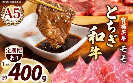 
                  [選べる定期便]宮福笑牛(とちぎ和牛) A5 モモ焼き肉 約400g 定期便 3回 6回 12回｜数量限定 黒毛 和牛 牛肉 国産牛 国産 ブランド牛 お肉 切り落とし サシ 霜降り 甘い ステーキ すき焼き しゃぶしゃぶ 焼肉 切落し 上品 アレンジ 美味しい 料理 主婦 とちぎ  栃木県 矢板市
                