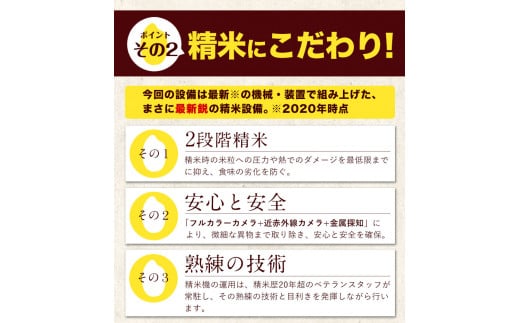 令和5年産 ひのひかり 白米 10kg 《7-14営業日以内に出荷予定(土日祝除く)》 5kg×2袋 熊本県産 米 精米 ひの 御船町---mf_hn5_wx_24_14500_10kg_h---