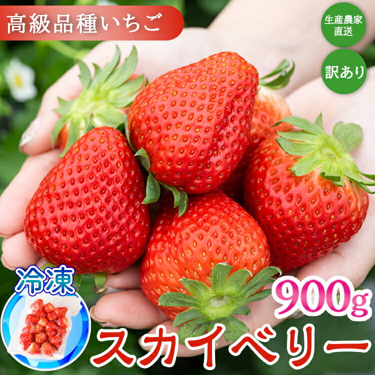 【ふるさと納税】【訳あり】冷凍スカイベリー900g (300g×3) | 生産者直送 高級品種 無選別訳あり 冷凍 いちご 栃木県壬生町産 果物 フルーツ 苺 イチゴ スムージー ジャム 不揃い
