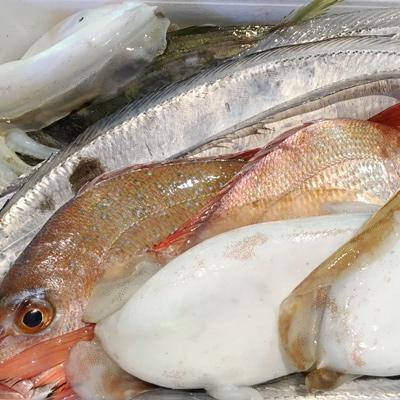 ふるさと納税 八幡浜市 竹中水産の八幡浜発!「魚好きにはたまらない!鮮魚BOX」【F22-135】 |  | 02