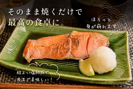 紅鮭切身 厚切り（100g）2切×6パック（12切） 1.2㎏入_HD020-038