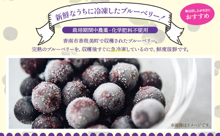 完熟 冷凍ブルーベリー 約1kg(200g×5袋)【ブルーベリー ブルーベリー ブルーベリー ブルーベリー ブルーベリー】 yg-0028