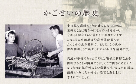 【お正月用】【小田原籠清】籠の選GX  創業1814年 二百有余年の歴史を重ねた小田原老舗 かごせい 職人の技で仕上げた最高級の蒲鉾の詰合せ
