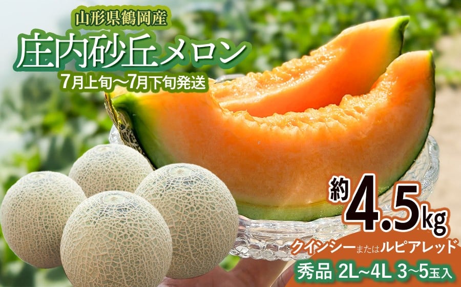 
            【令和8年産先行予約】 庄内砂丘メロン（赤肉）約4.5kg 2L～4L 【秀品】 3～5玉入 【令和8年7月上旬～7月下旬頃発送予定】山形県鶴岡産 紅花メロン　丸果庄内青果
          