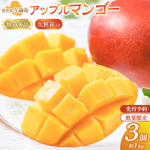 【数量限定】鹿児島 与論島アップルマンゴー特A秀品３個約１kg 化粧箱入り【先行予約】| マンゴー