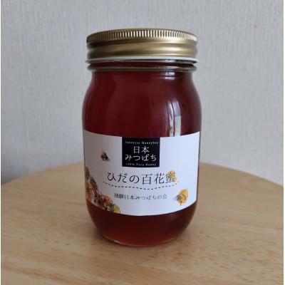 ふるさと納税 高山市 日本みつばちの百花蜜 《ひだの百花蜜》 600g 1本 PN004 |  | 01