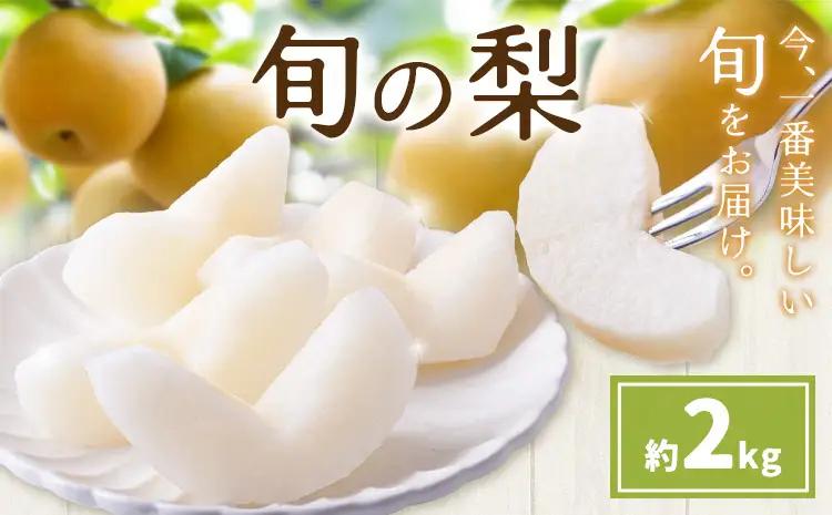 先行予約 旬の梨 約2kg 梨