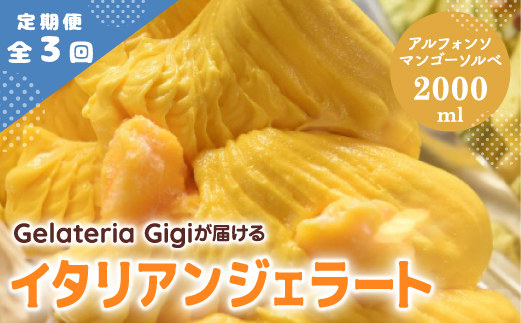 【定期便3回】 ジェラテリアGigi イタリアンジェラート アルフォンソマンゴーソルベ 2000ml ジェラート マンゴー アイス gigi 業務用 2L スイーツ お取り寄せ グルメ 定期便 3回 ふるさと納税 北海道【43006403】