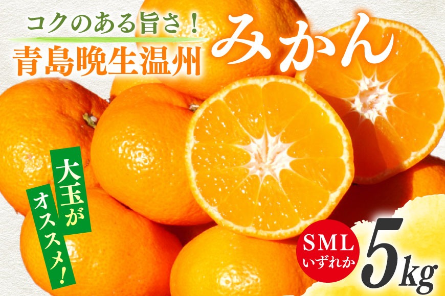 【期間限定発送】 みかん 5kg コクのある甘さ うまぁ〜い！！青島晩生温州みかん S・M・L いずれか [黒田農園 宮崎県 日向市 452061304] 果物 フルーツ ミカン 蜜柑 柑橘