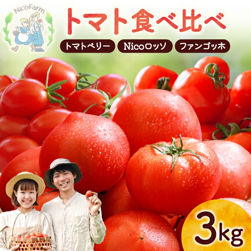 【ふるさと納税】【先行予約2026年7月】樹上完熟！トマト3種食べ比べ 各1kg ミニ・中玉セット トマトベリー・Nicoロッソ・ファンゴッホ 完熟トマト 樹上完熟 ミニトマト 中玉トマト 甘いトマト ジューシー フルーツトマト ハート型 可愛い 野菜 北海道 余市町 送料無料