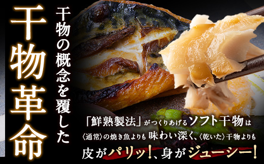  【8/19寄附額改定】博多バラエティ― 干物詰合せ