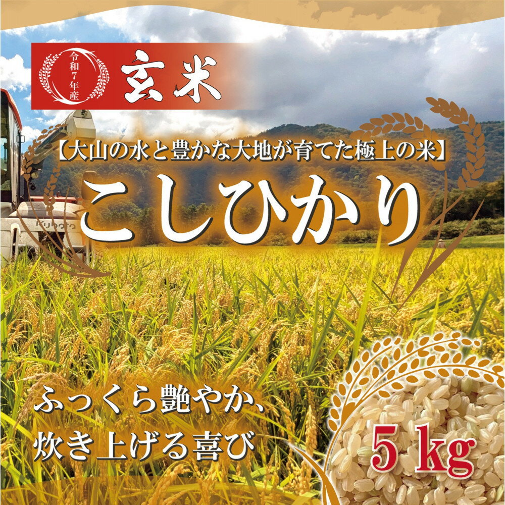 【ふるさと納税】令和7年 鳥取県産 こしひかり玄米5kg
