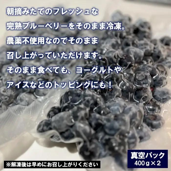 山形産 農薬不使用 冷凍ブルーベリー【ガイアの雫】800g(400g×2)★真空包装★  FZ23-581