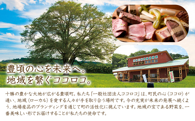 【乾燥野菜シリーズ】ごぼう・にんじん ギフトセット《30日以内に出荷予定(土日祝除く)》北海道 十勝 豊頃町---toyokoro_kkk_3_set---
