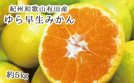 
            紀州和歌山有田産ゆら早生みかん 5kg　※2025年10月中旬頃～2025年10月末頃順次発送（お届け日指定不可）【uot721】
          