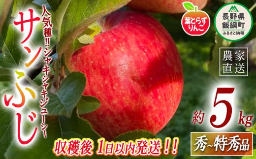 【 フレッシュ便 / 採れたて発送 】 りんご 葉とらず サンふじ 秀 〜 特秀 5kg フレッシュフルーツミカズキ 2025年11月中旬頃から2025年11月下旬頃まで順次発送予定 令和7年度収穫分