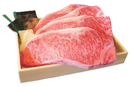 定期便 12回 牛肉 雲仙育ち おがわ牛 A5 サーロインステーキ 総計12kg(1kg×12回) ステーキ 黒毛和牛 冷凍 / 焼肉おがわ / 長崎県 雲仙市