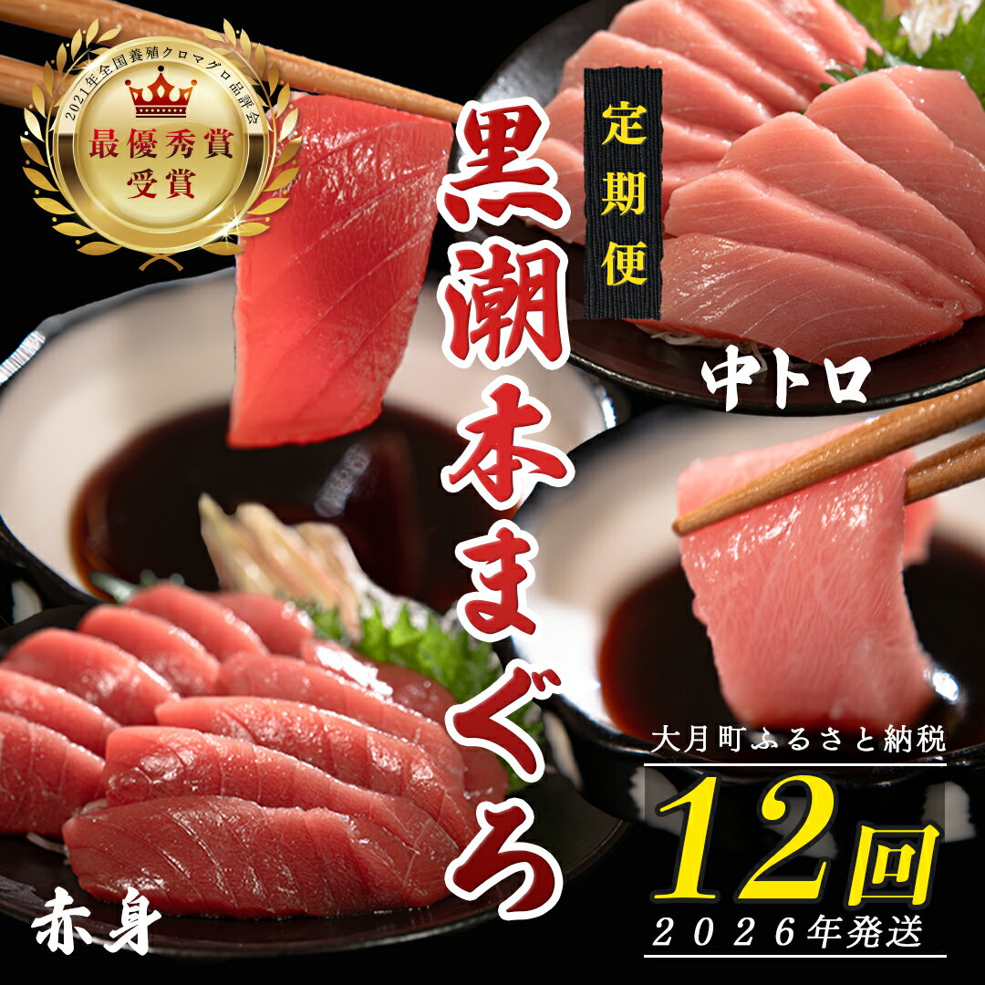 【ふるさと納税】【定期便 12回】日本一!黒潮本まぐろ 中トロ・赤身