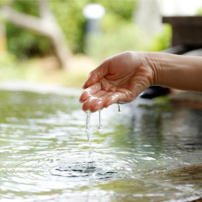 ふるさと納税 松江市 姫ラボスタンダードセット |  | 03