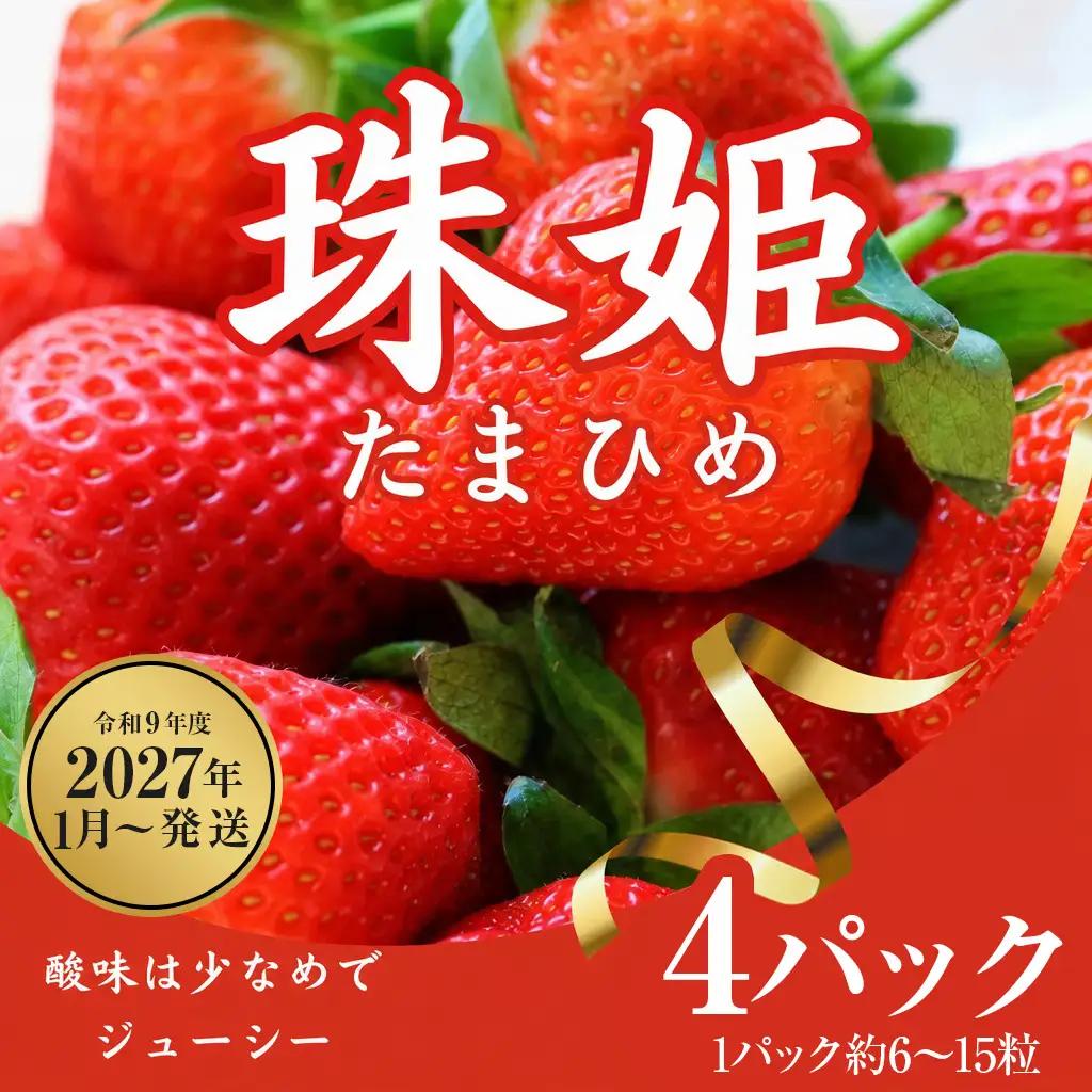いちご 珠姫 4P【R9年1月～発送】いちご