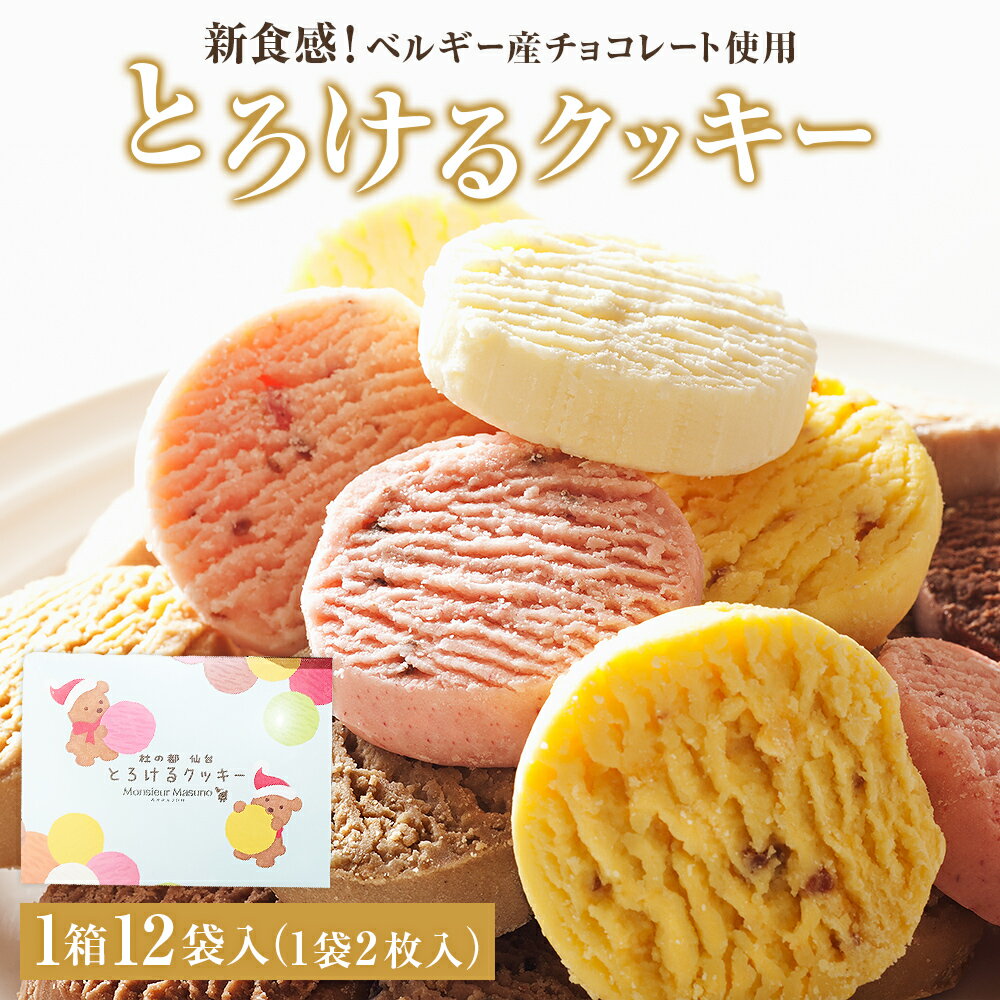 【ふるさと納税】 アルパジョン 新食感！ とろけるクッキー 12袋入 ベルギー産チョコレート 使用 フレーバー 12種 アルパジョン