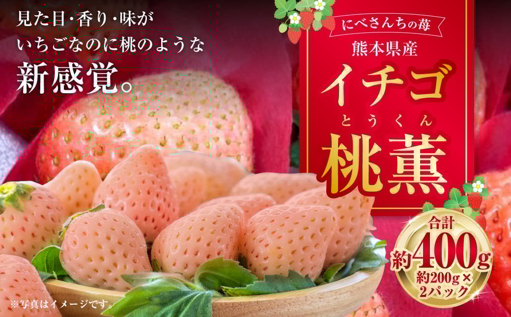 
                  にべさんちの苺 熊本県産イチゴ桃薫(とうくん) 約400g 【2026年1月下旬発送開始】
                