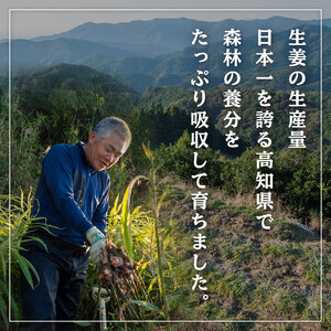 【 早期予約 12月より順次発送 】 高知県産 しょうが 「 土佐一 」 1kg 高知 須崎 高知県 須崎市 野菜 薬味 生姜 生姜 生姜 生姜 生姜 生姜 生姜 生姜 生姜 生姜 生姜 生姜 生姜 