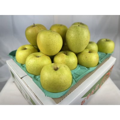 糖度保証!　訳あり品　王林　5kg(14個〜23個)【令和7年12月下旬より順次発送】【配送不可地域：離島】【1491942】