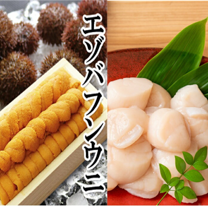 【ふるさと納税】 エゾバフンウニ140g×1折、お刺身ホタテ貝柱500g×1P[11月下旬以降発送] E-40019