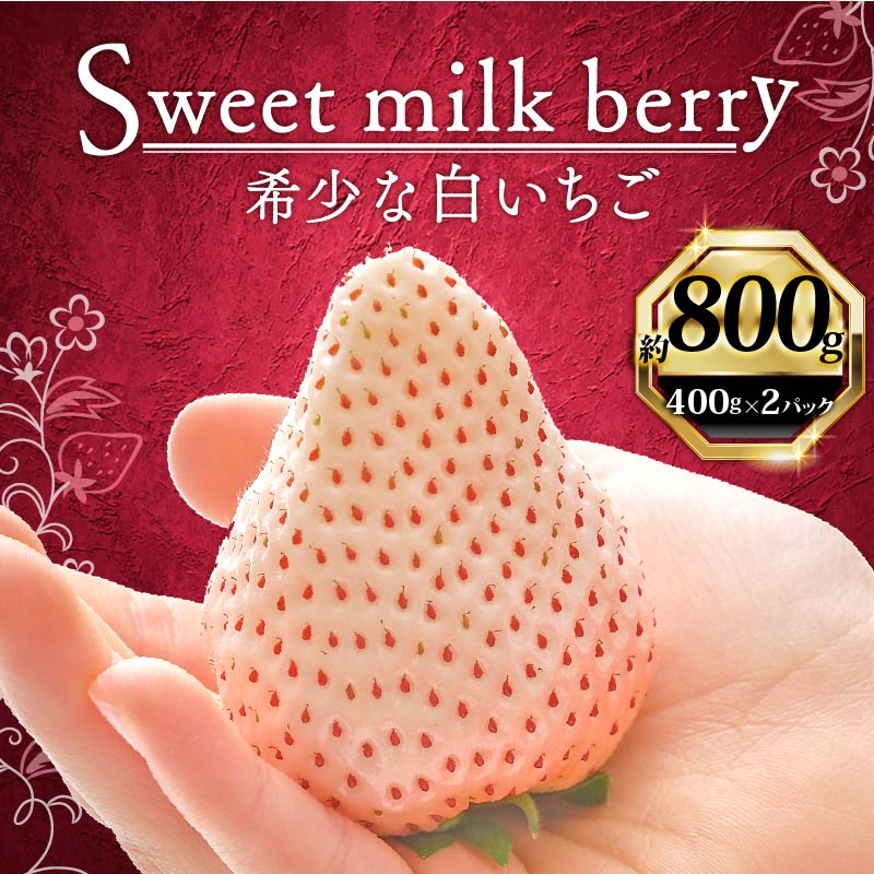 いちご 白いちご 計 800g 計 2 パック 高級 白 イチゴ 苺 セット Sweet milk berry 2 パック 400g × 2 パック フルーツ 果物 ストロベリー 産地直送 国産 スイ