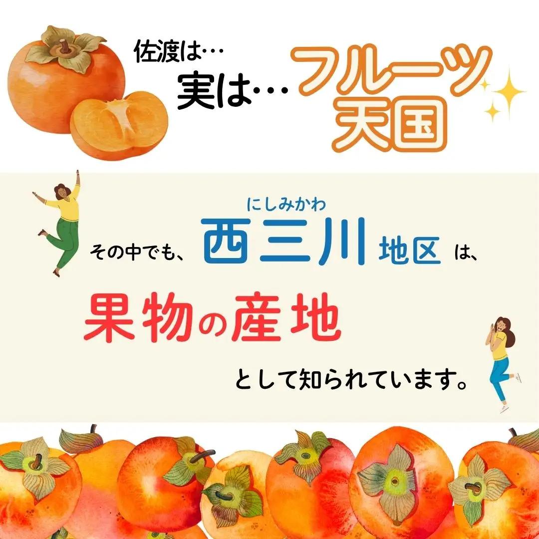 種なし干し柿 300g 8個入り 6パック | 新潟県 佐渡市 松丘農園 干し柿