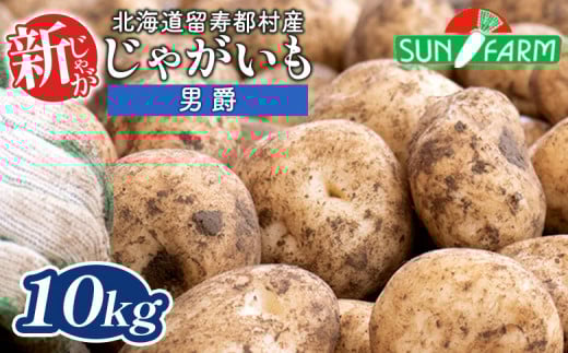 
            新じゃがいも 男爵 10kg いも おいも 芋 イモ ジャガイモ ポテト だんしゃく オンライン 申請 ふるさと納税 北海道 留寿都 野菜 根菜 産地直送 新鮮 採れたて ポテトサラダ コロッケ マッシュポテト 10キロ 留寿都村【2401501】
          
