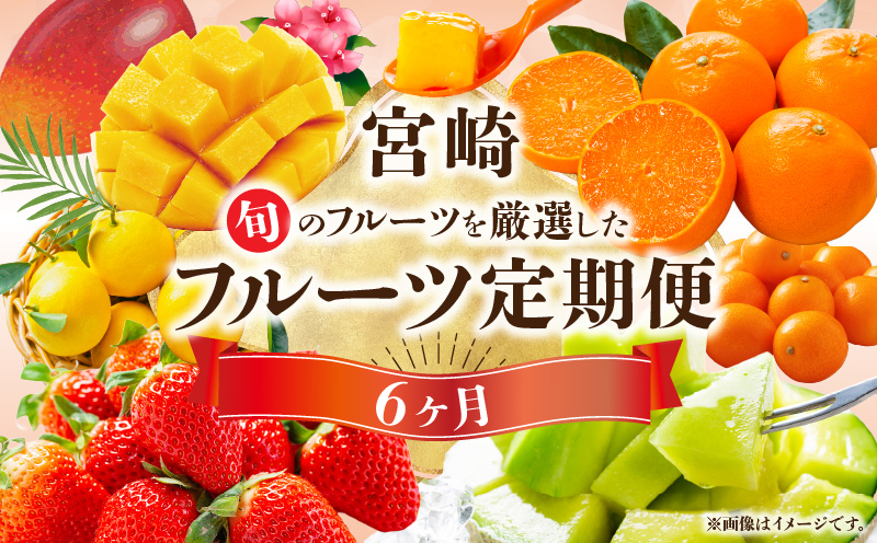 旬のフルーツ6ヶ月定期便vol.1_M348-T001