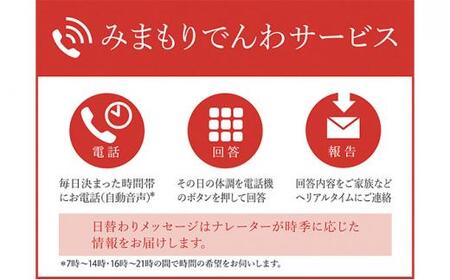 郵便局のみまもりサービス「みまもりでんわサービス」 固定電話（12カ月） [No.5220-0634]